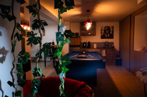 Perle d'eau-Love Room-Jacuzzi-Sauna-Proche Montbéliard et Belfort