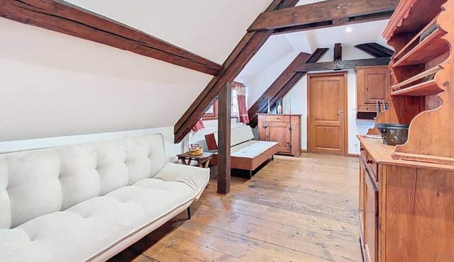 Perle du Ried n°4 - Alsatian charm between Strasbourg and Colmar