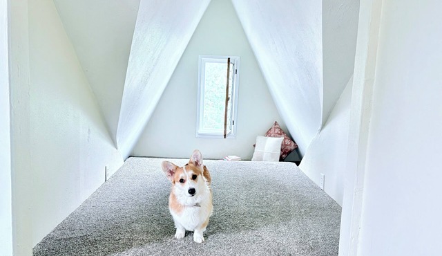 Perry Pup House – Vintage Charm, Dog-Friendly, Walk to Cafés/Brewery