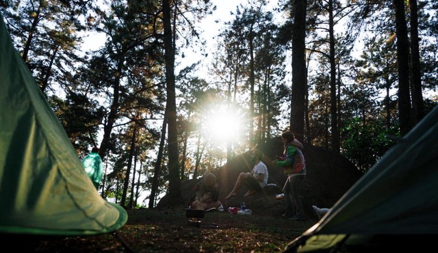 Persimmon Grove Retreat and Camp