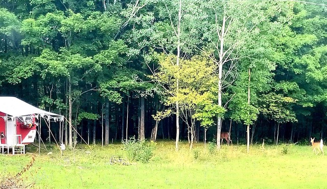 Perth, Boho Vintage Caravan for a quiet retreat, romantic or BFF getaway