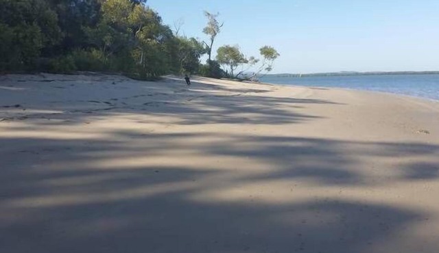 Pet and Family Friendly Peaceful Island W'front home, crabbing, kayaking, bikes