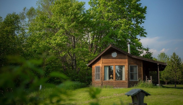Pet freindly cabin in the meadows on the edge of the forest with big windows