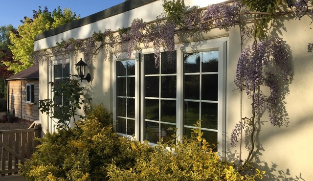 Pet-friendly Holiday Cabin in secluded rural setting near the New Forest.