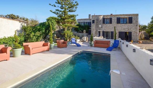 Pet friendly apartment