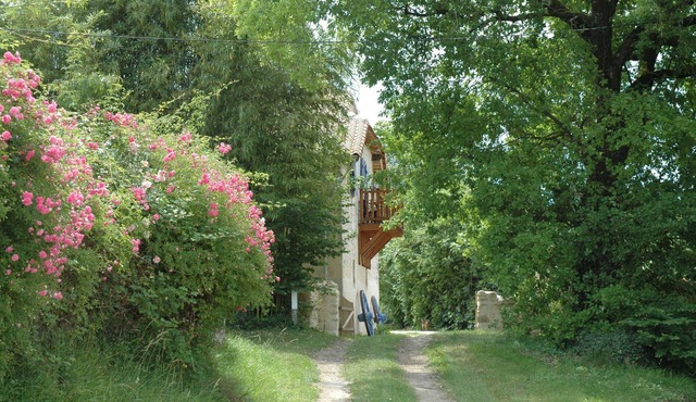 Pet friendly 3 bedroom house.