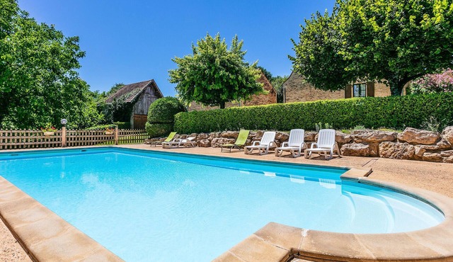 Pet friendly apartment