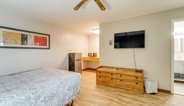 Pet-Friendly Studio Near Pine Knob: Bring Skis!