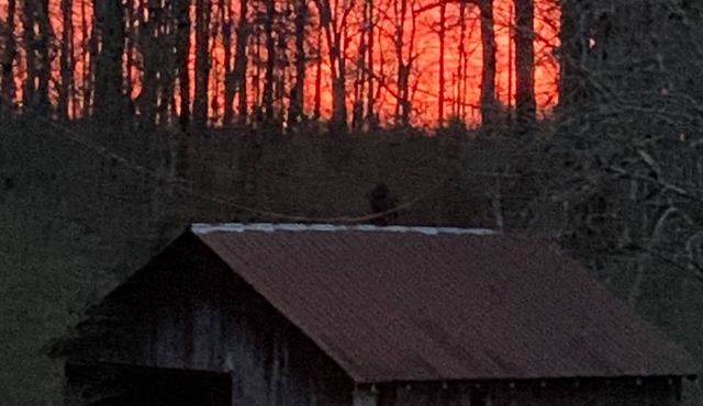 Pet Friendly 1 Bedroom Apartment; Quiet & Secluded - 1/2 hour from town