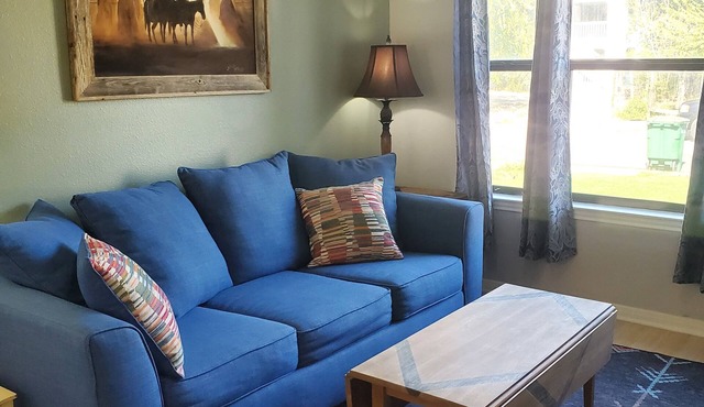 Pet friendly 2-bedroom near downtown San Antonio, Pearl, Riverwalk, Zoo, museums