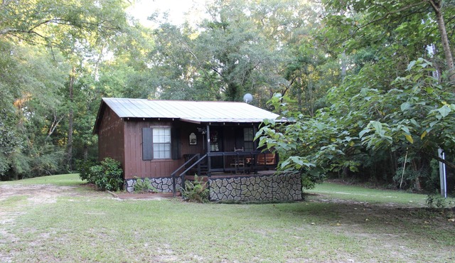 Pet friendly 2-bedroom cabin in quiet country setting yet short drive to coast
