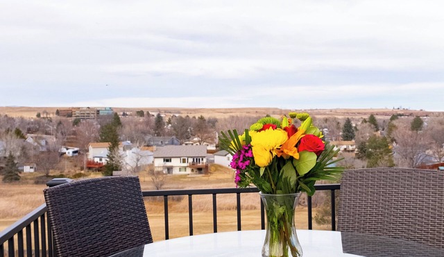Pet-friendly 2b2b, beautiful views near Boulder