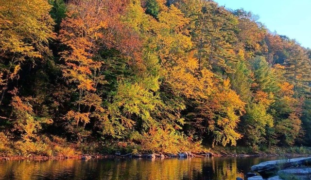 Pet friendly 4 br home on 6.5 acres w access to swim & fishing area -sleeps 10