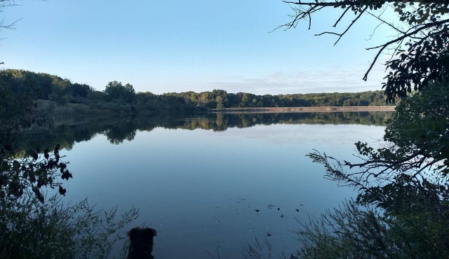 Pet Friendly A-Frame Cabin @ Dawson Lake/Moraine View State Park