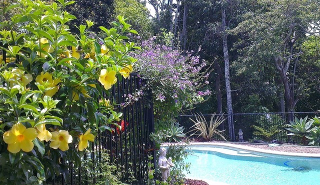 Pet Friendly-Adults Only, Kingscliff, Tropical Coast Retreat, Hinterland Suite