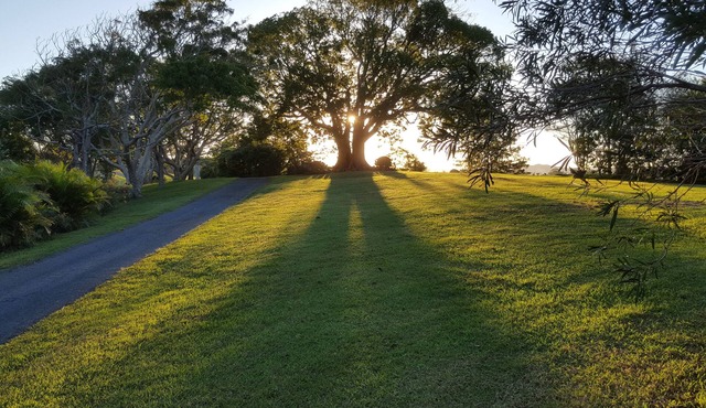 Pet Friendly - Adults Only, Tropical Coast Retreat, Kingscliff, Poolside Suite