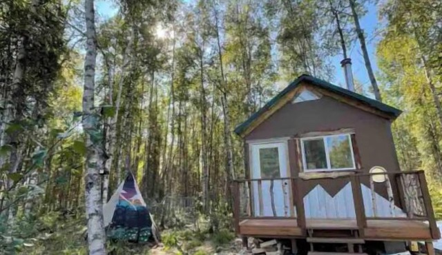 Pet friendly Alaska’s King Fisher Cabin 30 minutes from Talkeetna