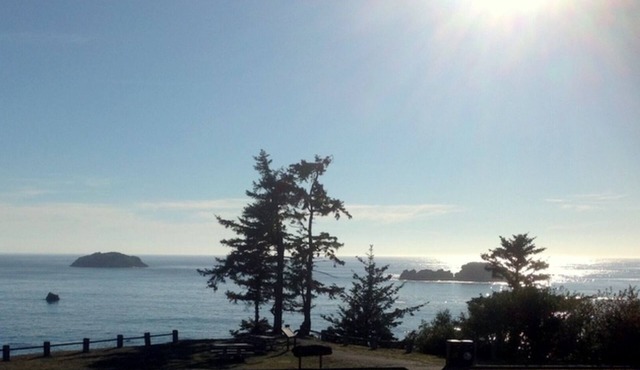 Pet Friendly Apartment with Beautiful ocean views and Puppy Park