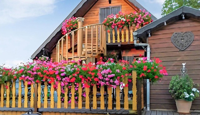 Pet friendly apartment in Harreberg