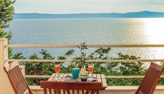 Pet friendly apartment in Zivogosce