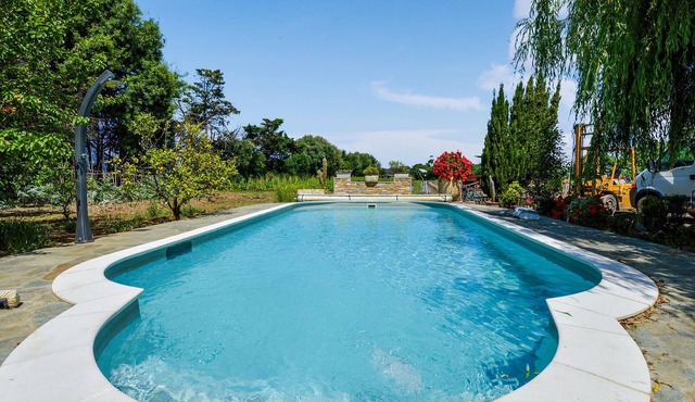 Pet friendly apartment in Furiani