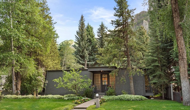 Pet Friendly Aspen Oasis with Exceptional Location
