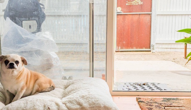 Pet friendly beach home #1 - 250m flat walk to beach & Capel Sound boat launch