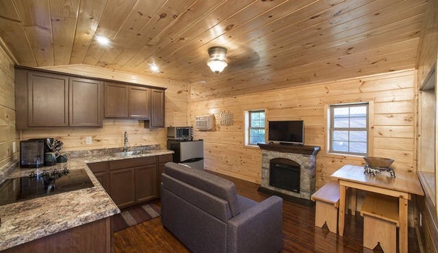 Pet Friendly Beautiful Tiny House Cabin in Inlet, NY Adirondack Mountains
