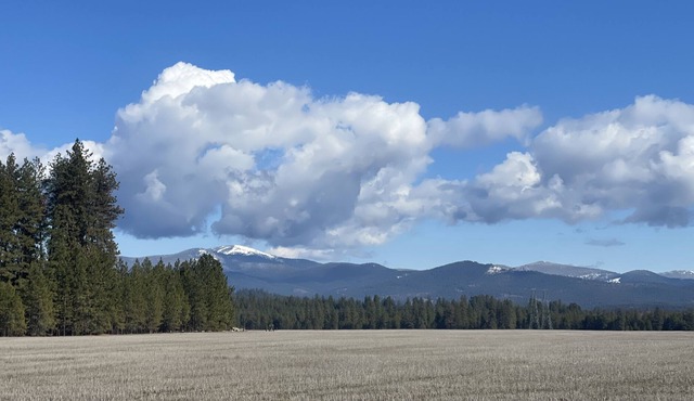 (pet friendly) Beautiful View