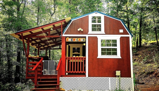 Pet-friendly, blissful w/fire pit, picnic area-3BR