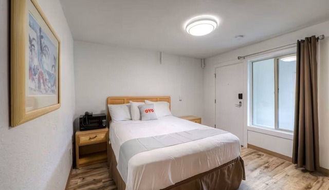 Pet-Friendly Budget Getaway Near Yaquina Head, Devils Punchbowl & Beaches