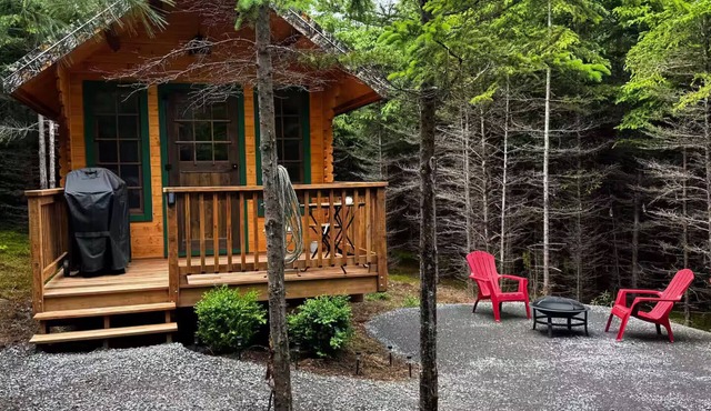 Pet-Friendly Cabin | Sleeps 2 | Private Fire Pit