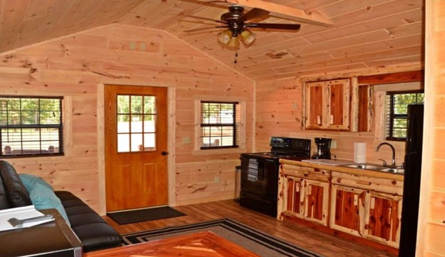 PET FRIENDLY 🐾 Cabin#1 Swan Bay Cabins & RV Park, Paris Tn, Kentucky Lake