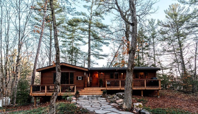 Pet-Friendly Cabin Amazing Fully Renovated in Gooderham, Ontario