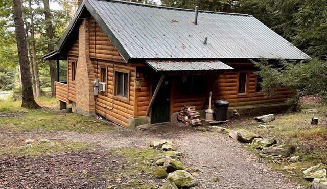 Pet-Friendly Cabin for 6 Near Cook Forest, Ideal for Glamping in Pennsylvania