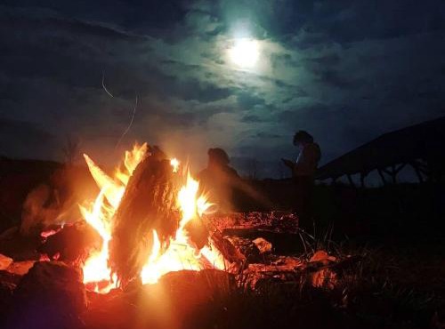 Pet-Friendly Cabin for Romantic, Off-the-Grid Glamping Escapes in Missouri