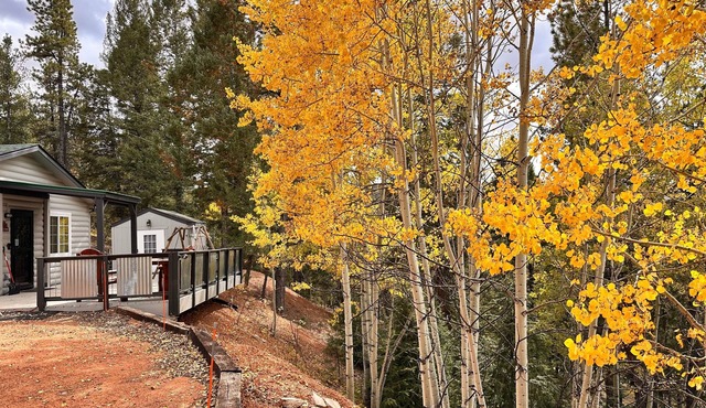 Pet-Friendly Cabin & Hot Tub by Pikes Peak
