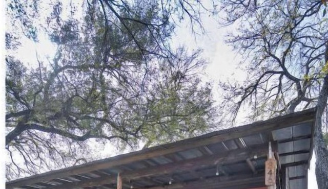 Pet-friendly cabin with hot tub