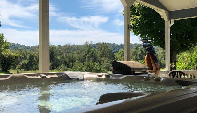 Pet Friendly Cabin with hot tub near ATV trails WNF and Hocking Hills