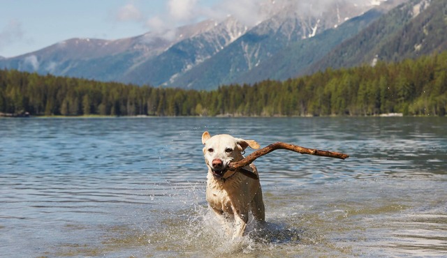 Pet-Friendly Cabin w/Hot Tub near Lake Koocanusa