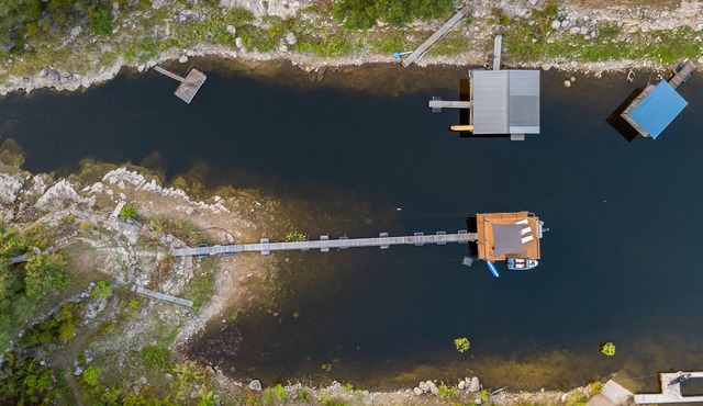 Pet Friendly Cabin w/hot tub. gym, cold plunge, & sauna
