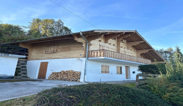 Pet-friendly chalet in Veysonnaz