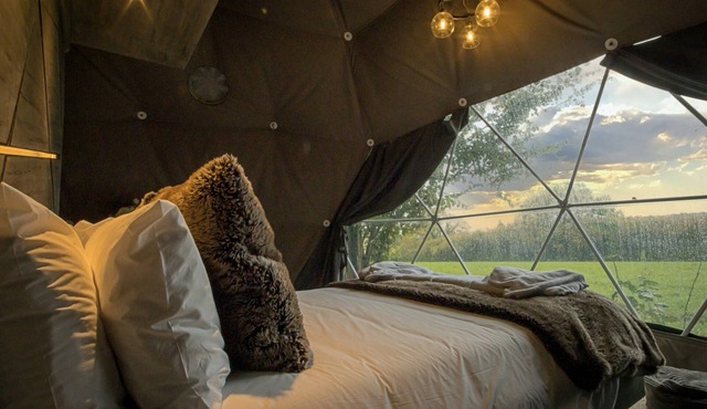 Pet-friendly Chalet in Hoath, No Deposit