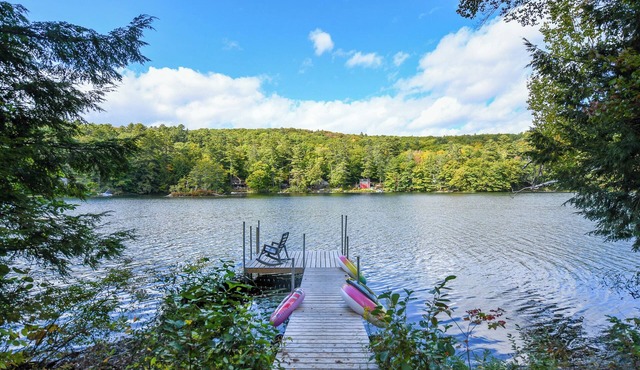 Pet-Friendly Classic Maine Camp on Quiet Coffee Pond