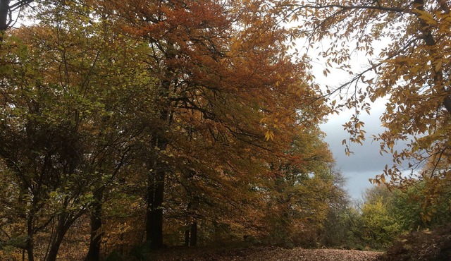 Pet friendly cosy barn with stunning views