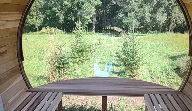 Pet-friendly cottage in the country 15 mn from Mayo Clinic