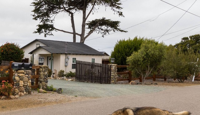 Pet Friendly Cottage