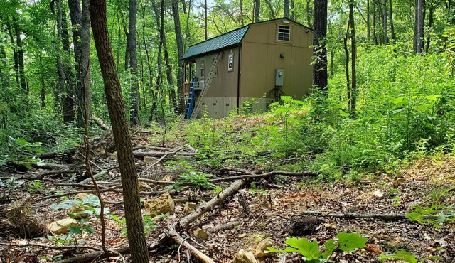 Pet friendly cottage on 17 acre Lake front property with dock and kayak access