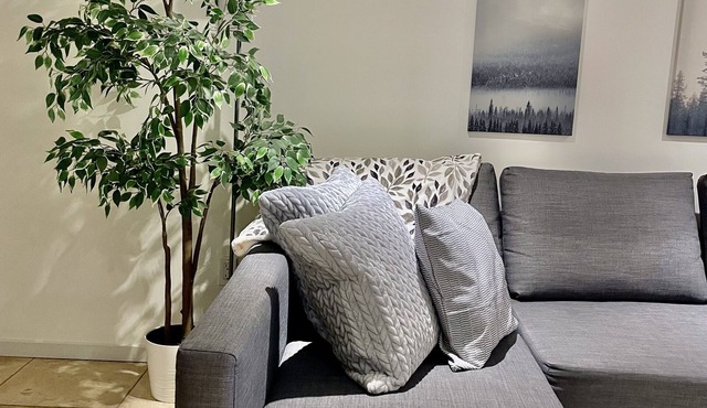 Pet friendly cozy basement apartment in Queen West