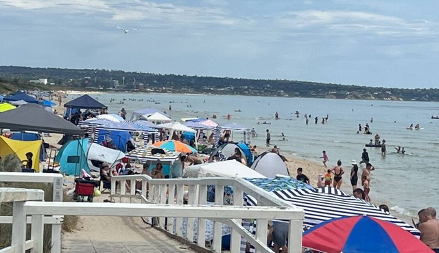 🐶 PET FRIENDLY : COZY HOME WALK TO BEACH,WETLANDS. 6 GUESTS,WIFI,NETFLIX